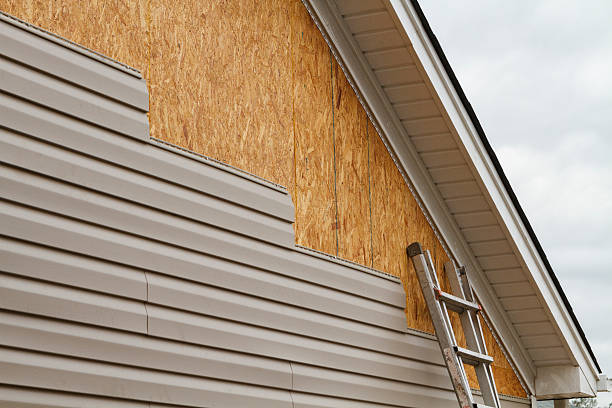 Professional Siding Inspection technician working in Petersburg, PA